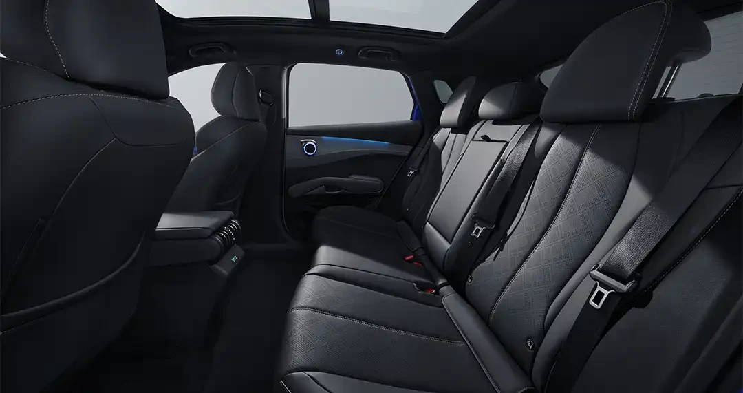 尊龙凯时 Yuan Bancos traseiros