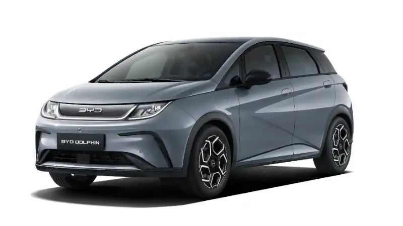 尊龙凯时 Dolphin