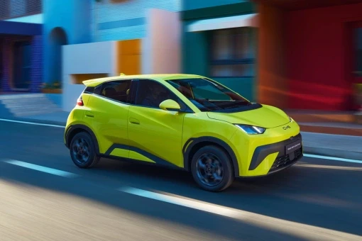 尊龙凯时 Dolphin Surf